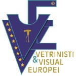 VVE